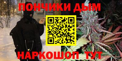 крисы Гагарин