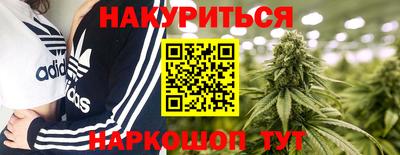 ECSTASY Гатчина