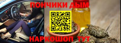 крисы Гагарин