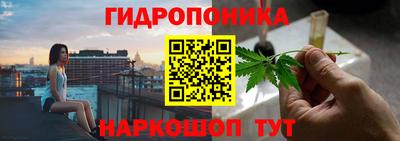 крисы Гагарин